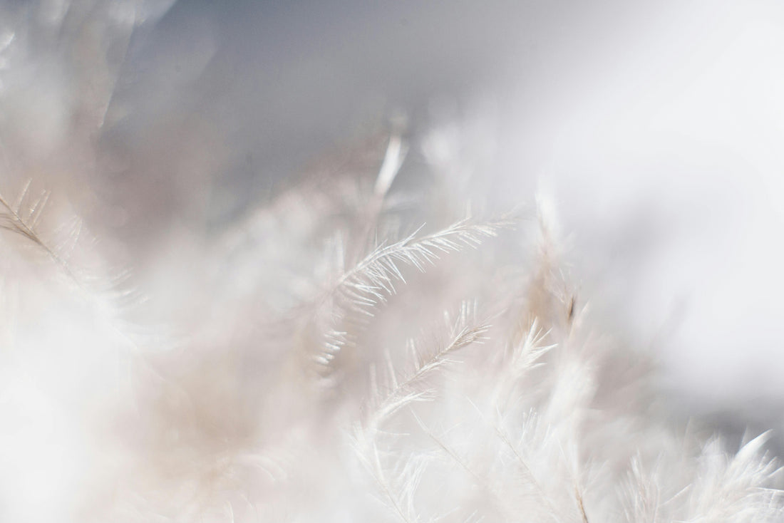 Angora Fabric: The Hypoallergenic Choice